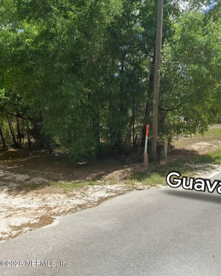 Property from 202 GUAVA Avenue - KW - Pomona Park, Florida, 32181