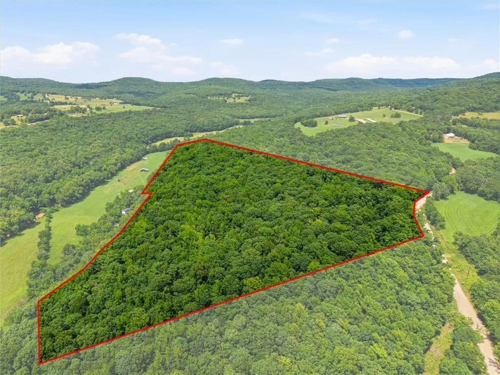50 Acres of Land for Sale in Elkins, Arkansas - Elkins, Arkansas, 72727