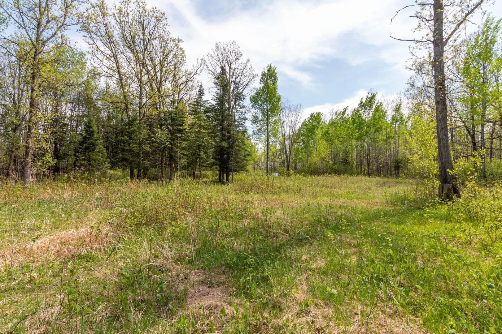 Property from TBD Stephani Road NW - KW - Puposky, Minnesota, 56667