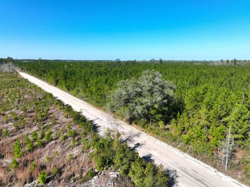 35 +/- Ac Land for Sale Chaney Road - Camden County, GA