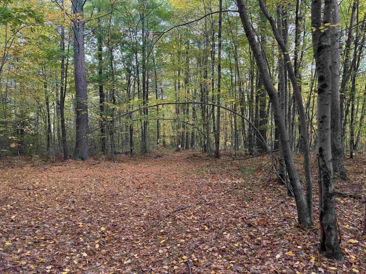 3.92 Acres of Land for Sale in Rochester, NH - Rochester, New Hampshire, 03867