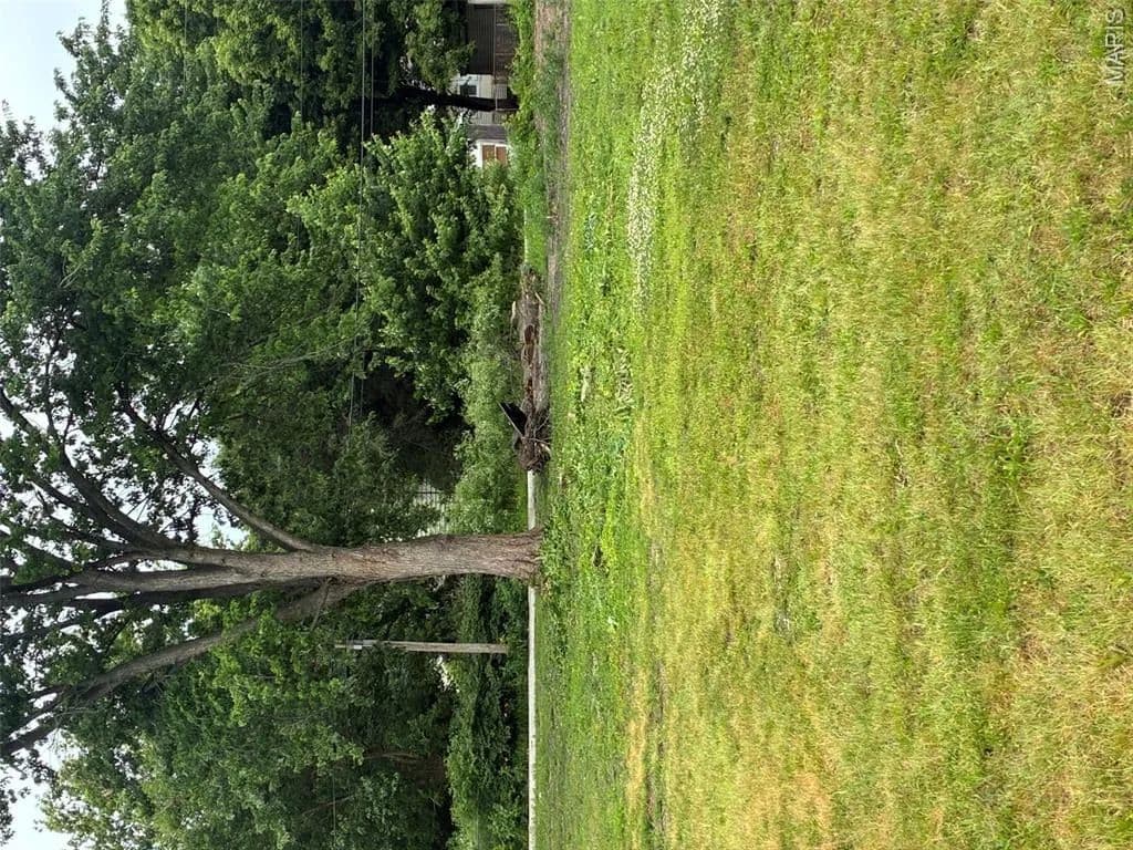 Property from 17 Judith Street - KW - Cahokia, Illinois, 62206