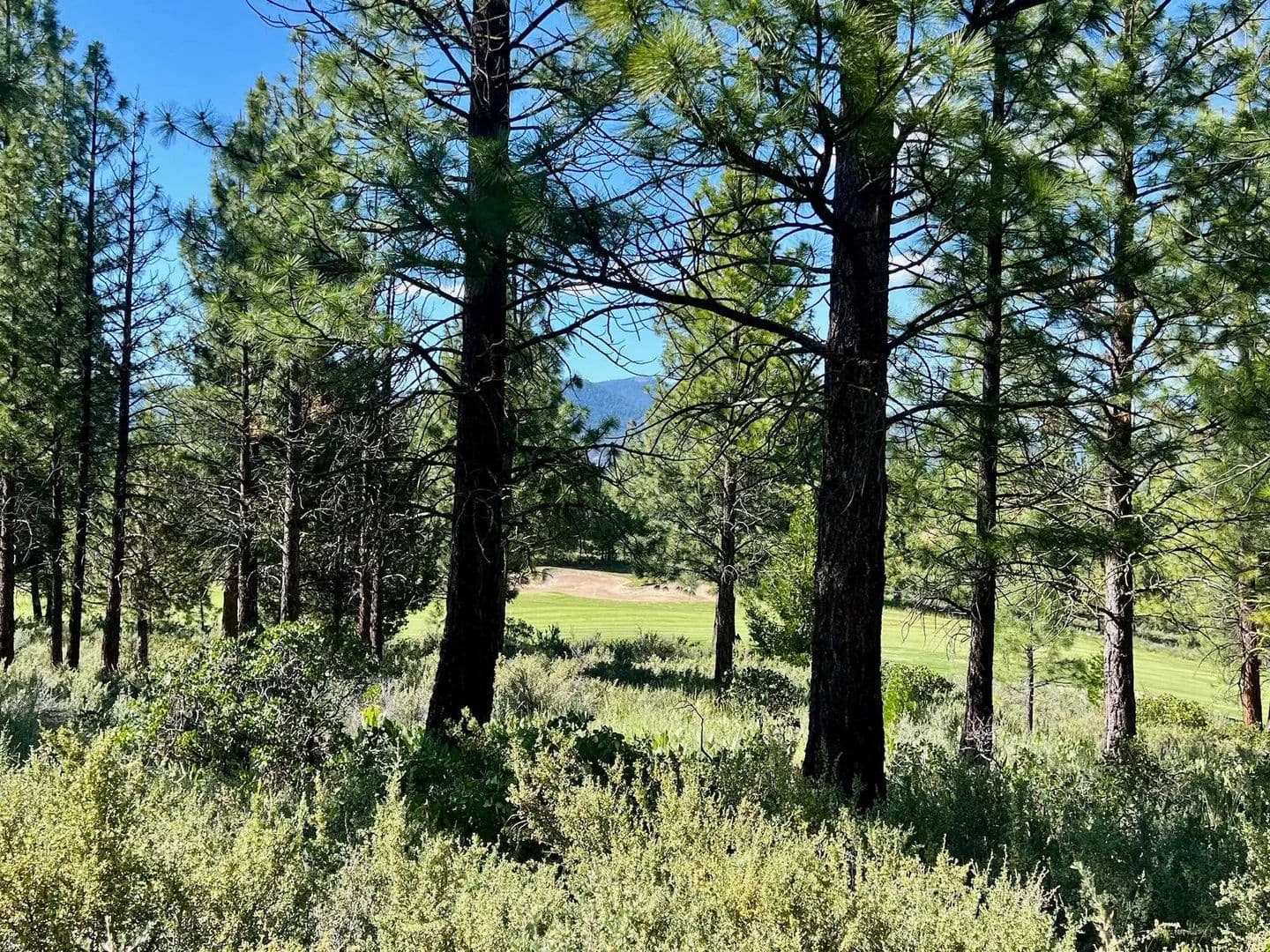 Property from 928 Red Sky - KW - Portola, California, 96122