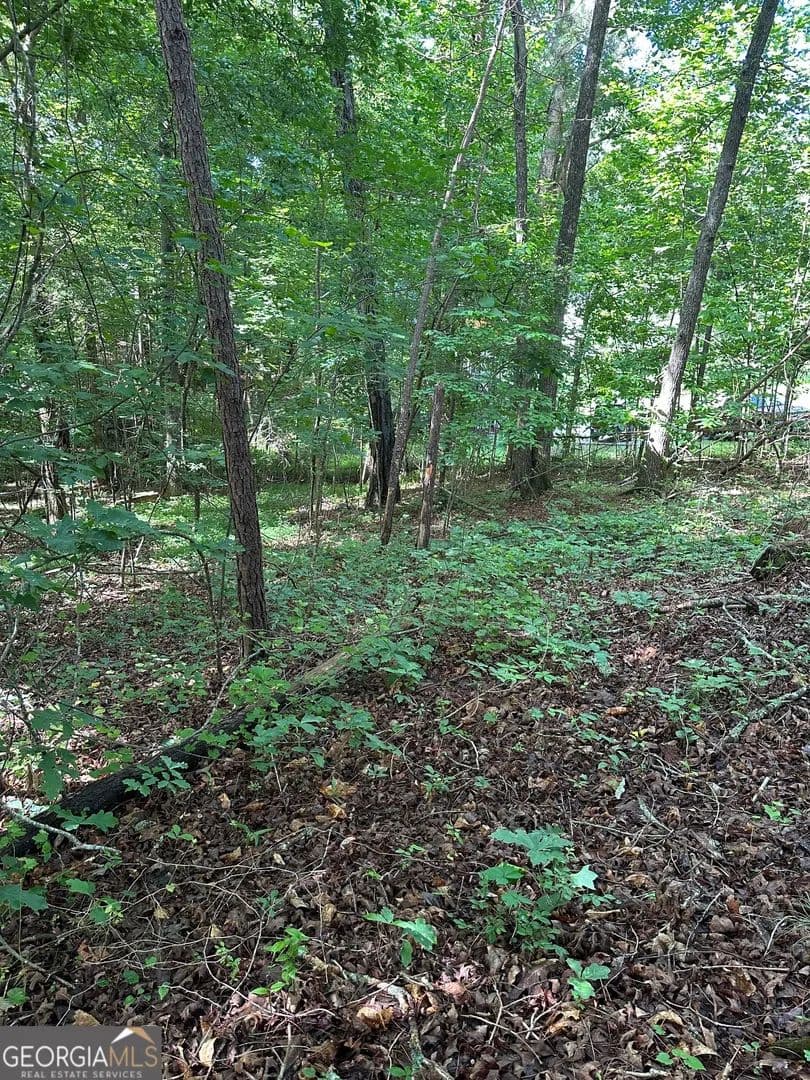 Property from 0 View Street - KW - Clarkesville, Georgia, 30523