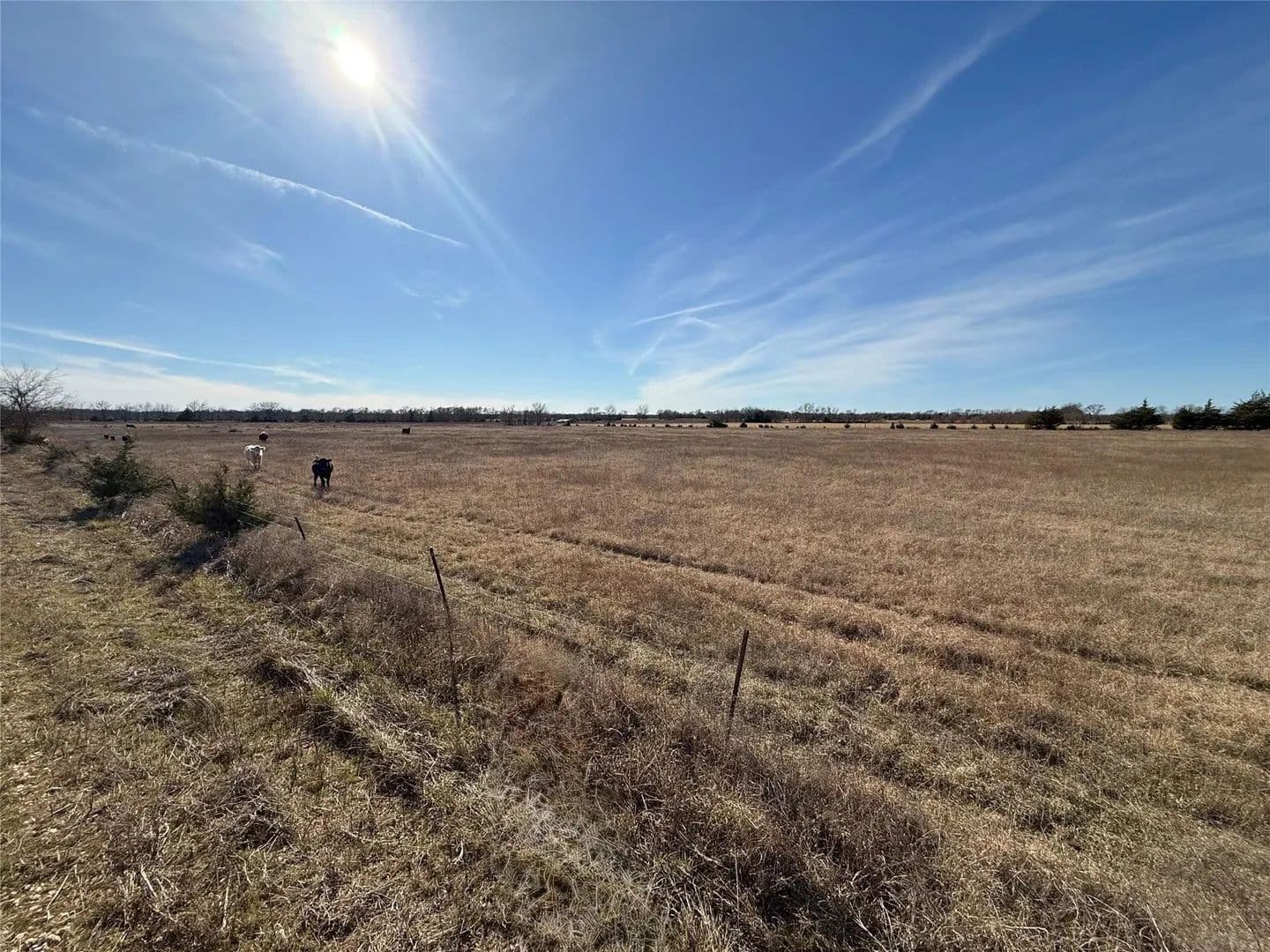 Property from TBD Count Road 15540 - KW - Paris, Texas, 75462