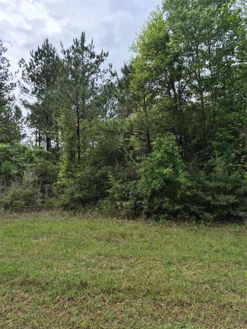 10 Acres of Land for Sale in Livingston, Texas - Livingston, Texas, 77351