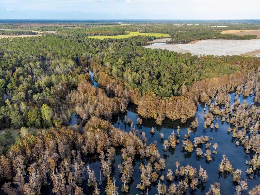Vacant Land in Sylvester - land for sale