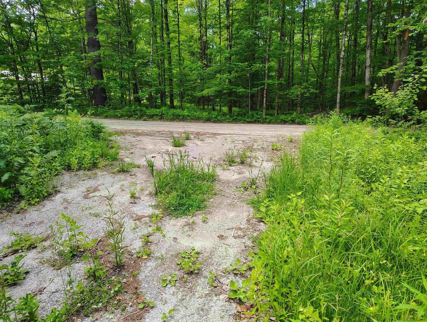 Property from 12 Frescoln Road - KW - Wentworth, New Hampshire, 03282