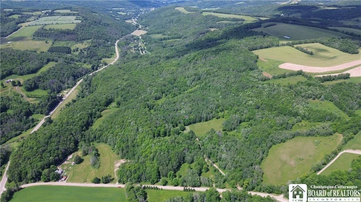 81.35 Acres of Land for Sale in Rexville, New York - Rexville, New York, 14877