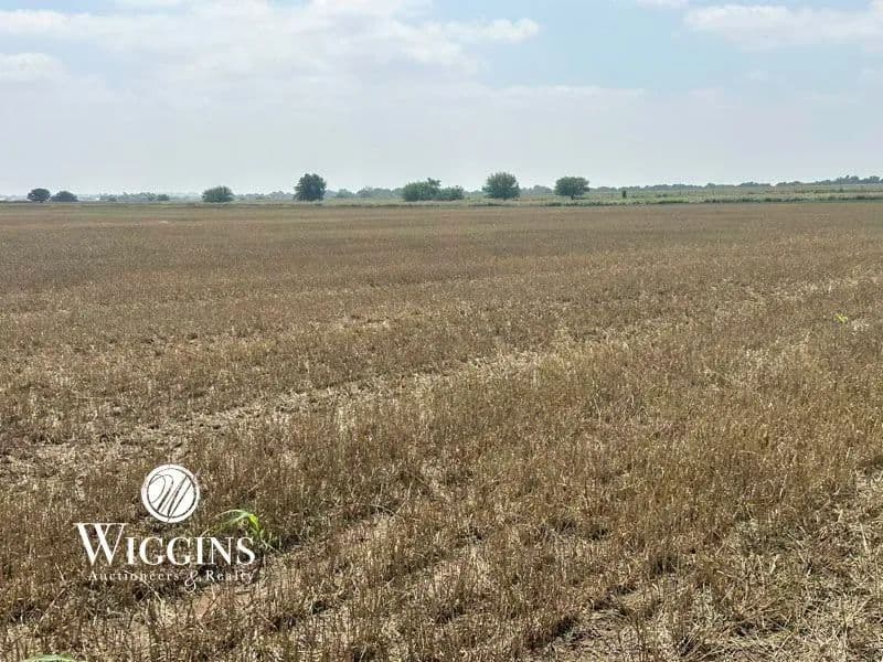 7/15 - 160 +/- Acres | Good Sm. Grain/Livestock Land | Rural Homesite & Out-Bldgs. Bison/Hennessey Area, Garfield Co., OK - Oklahoma, 73742