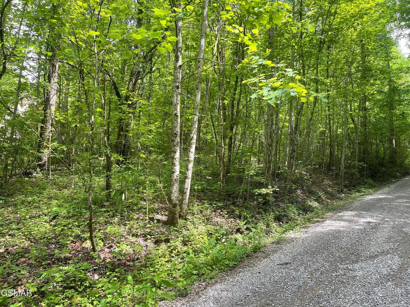 Property from Lot 4 Walden Flats Way - KW - Sevierville, Tennessee, 37862