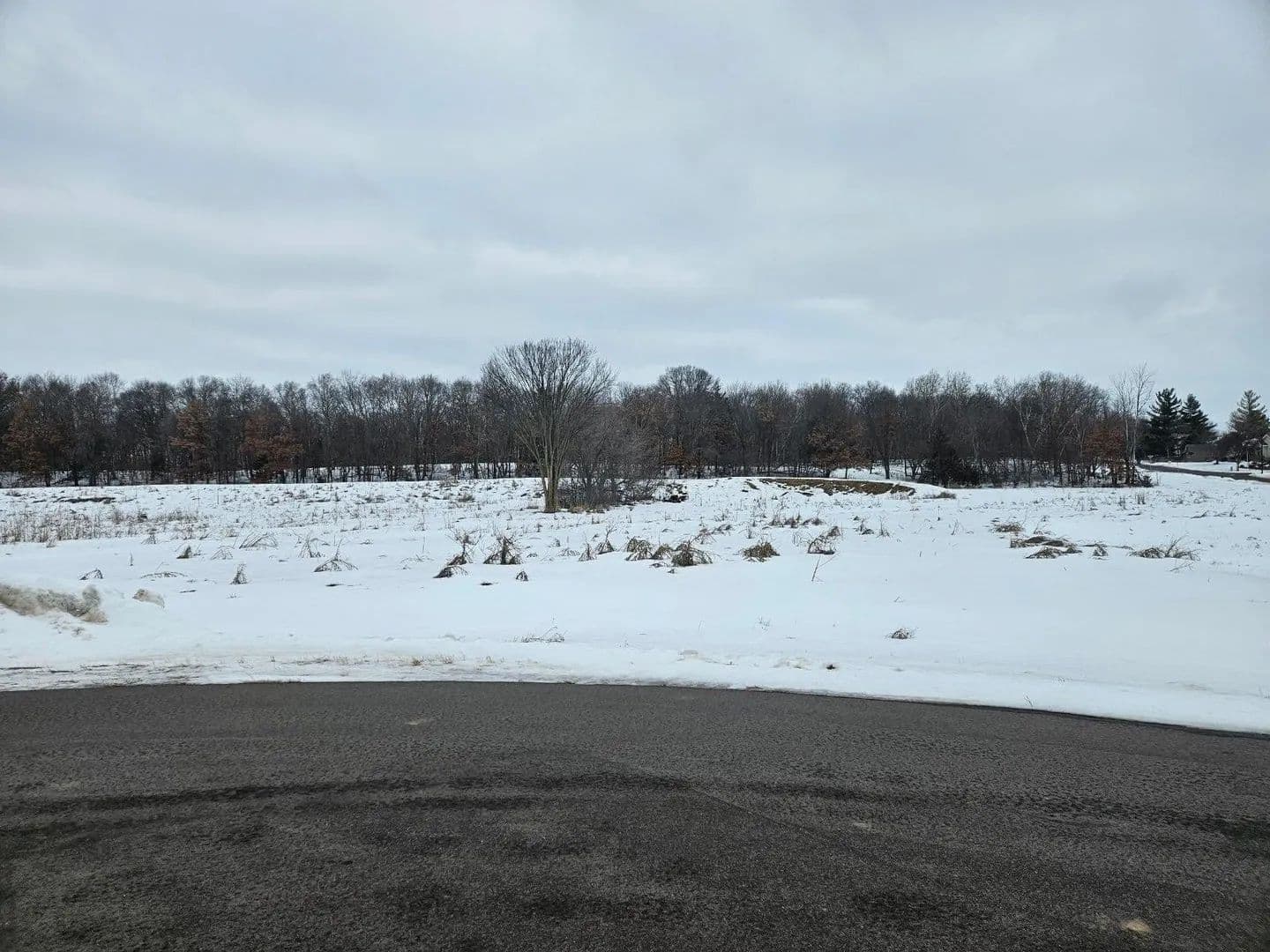 Lots & Land-Other in Saint Stephen - Saint Stephen, Minnesota, 56375