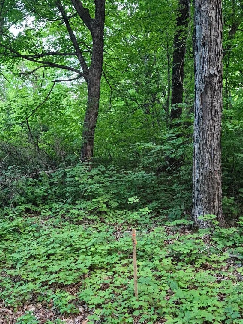 Property from TBD Lot 310 197th Ave - KW - Mcgregor, Minnesota, 55760