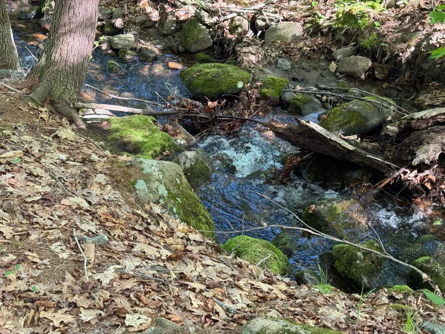 Property from 0 Peaked Hill Road - KW - Bristol, New Hampshire, 3222