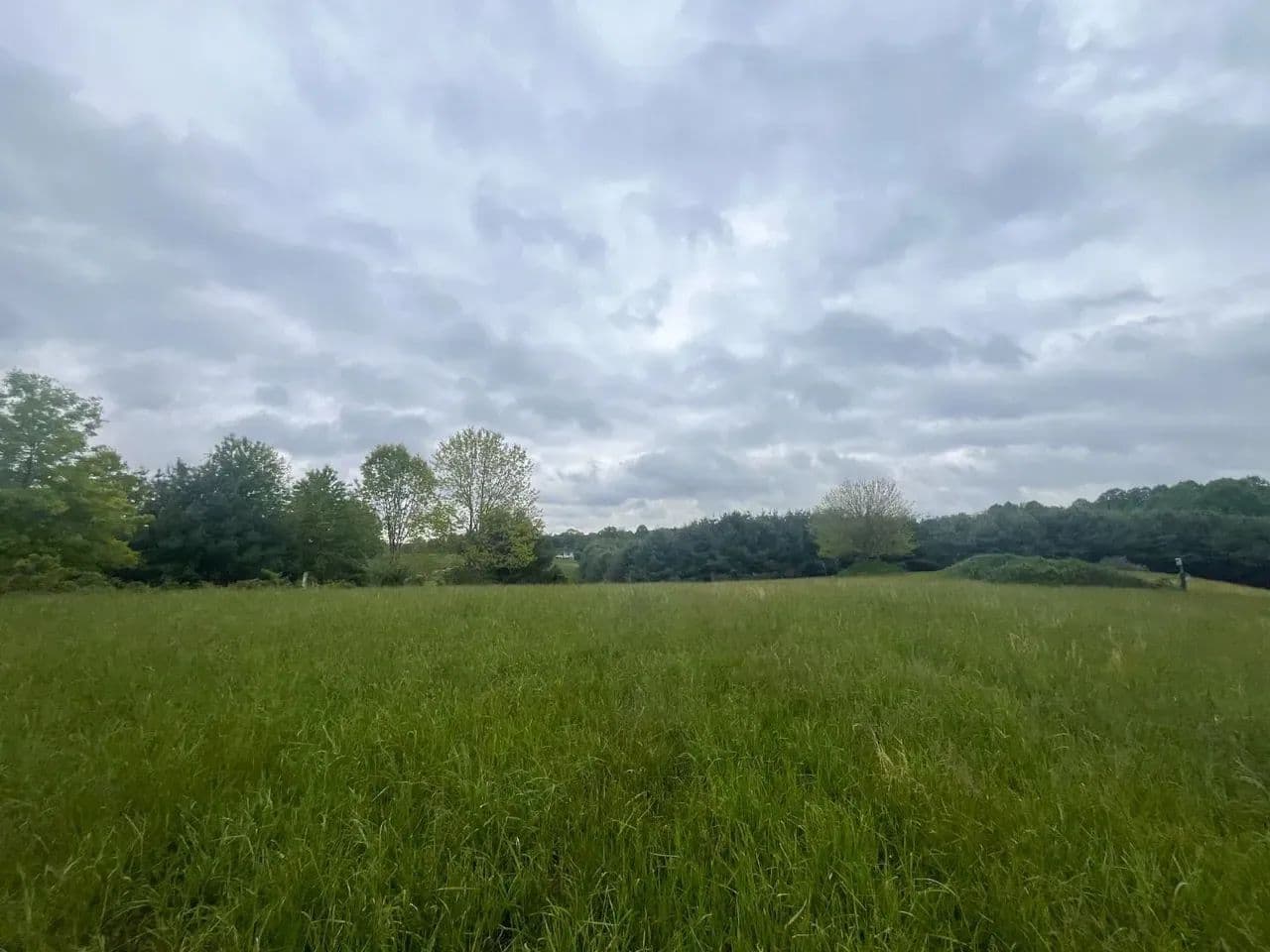 Crall Rd - 6 acres - Scio, Ohio, 43988