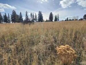 Property from Kerry Drive #Lot 9 - KW - Chiloquin, Oregon, 97624