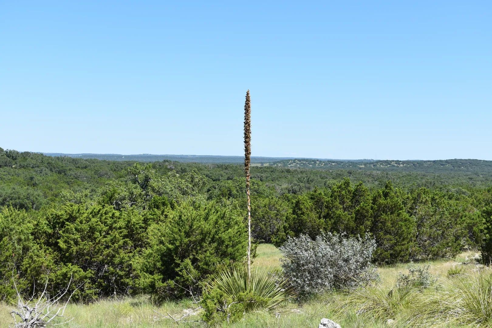 200 Acres, Kimble County - Texas, 76849