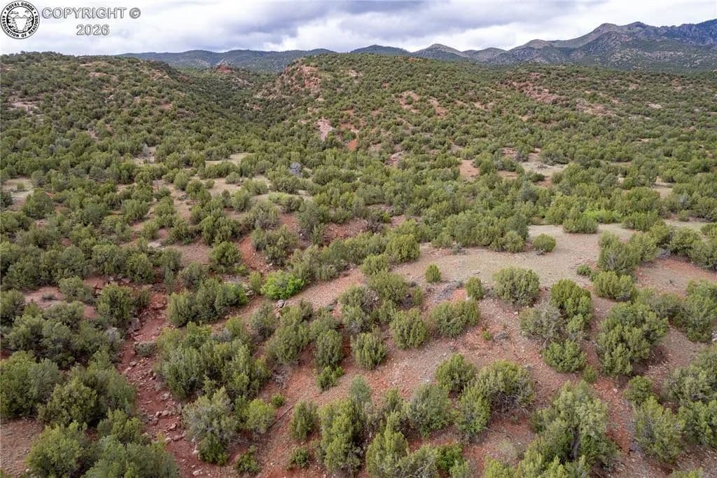 Property from TBD Lot 5 Iron Handle Road - KW - Penrose, Colorado, 81240