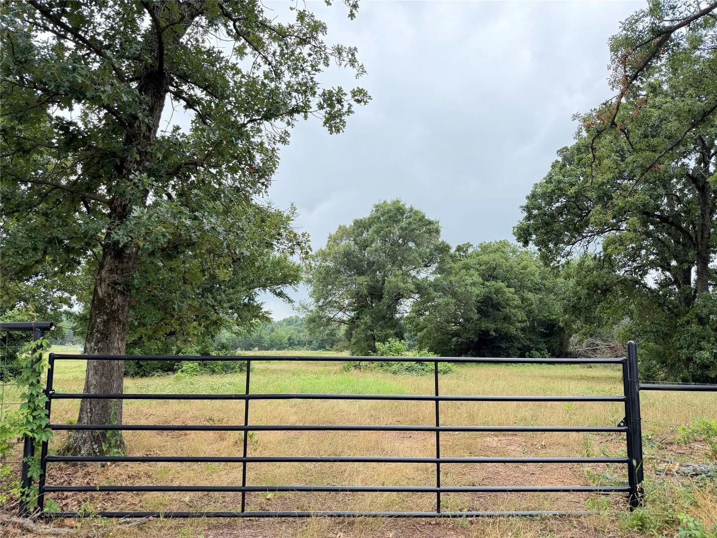 20.1 Acres of Land for Sale in Cookville, Texas - land for sale