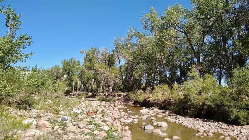 Eagle Ranch River Haven