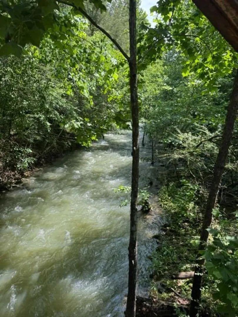 40+/-acres in Sequatchie Valley with a Creek - South Pittsburg, Tennessee, 37380