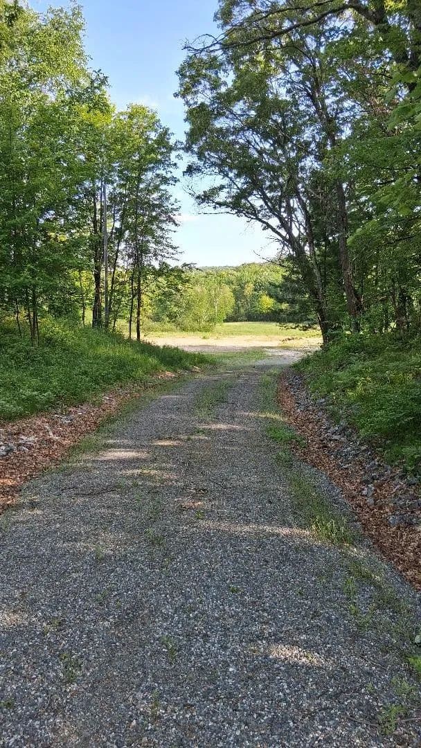 68 Acres of Land for Sale in Fairchild, Wisconsin - Fairchild, Wisconsin, 54741