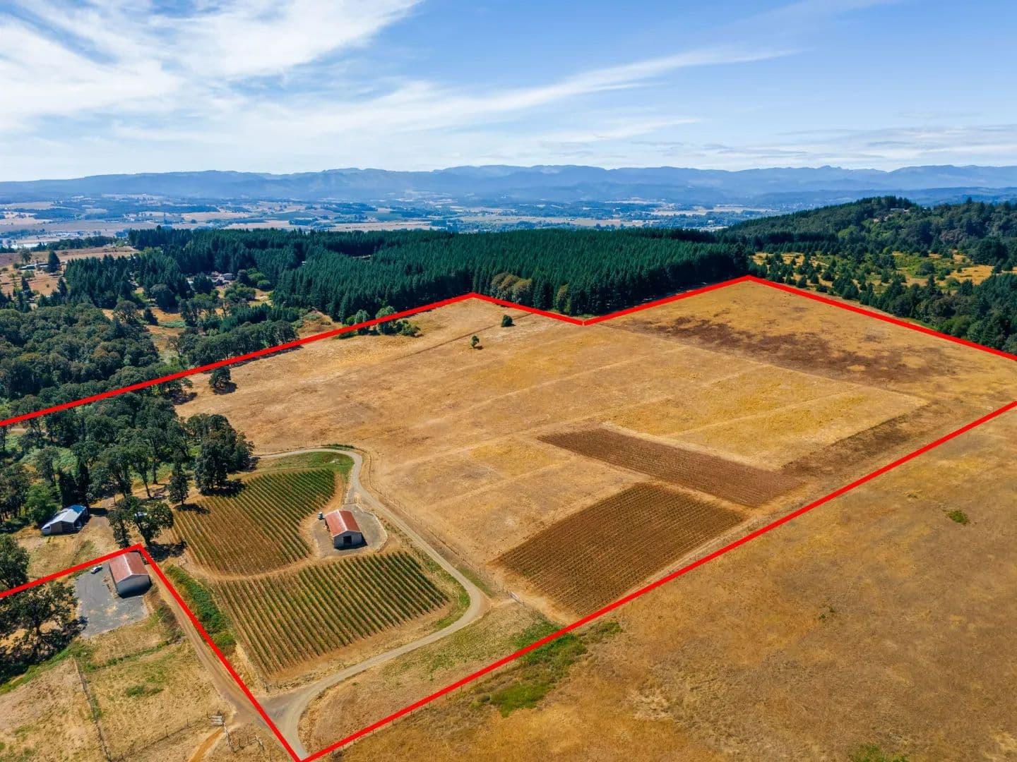 Established Vineyard Property with Expansion Potential - Sheridan, Oregon, 97378