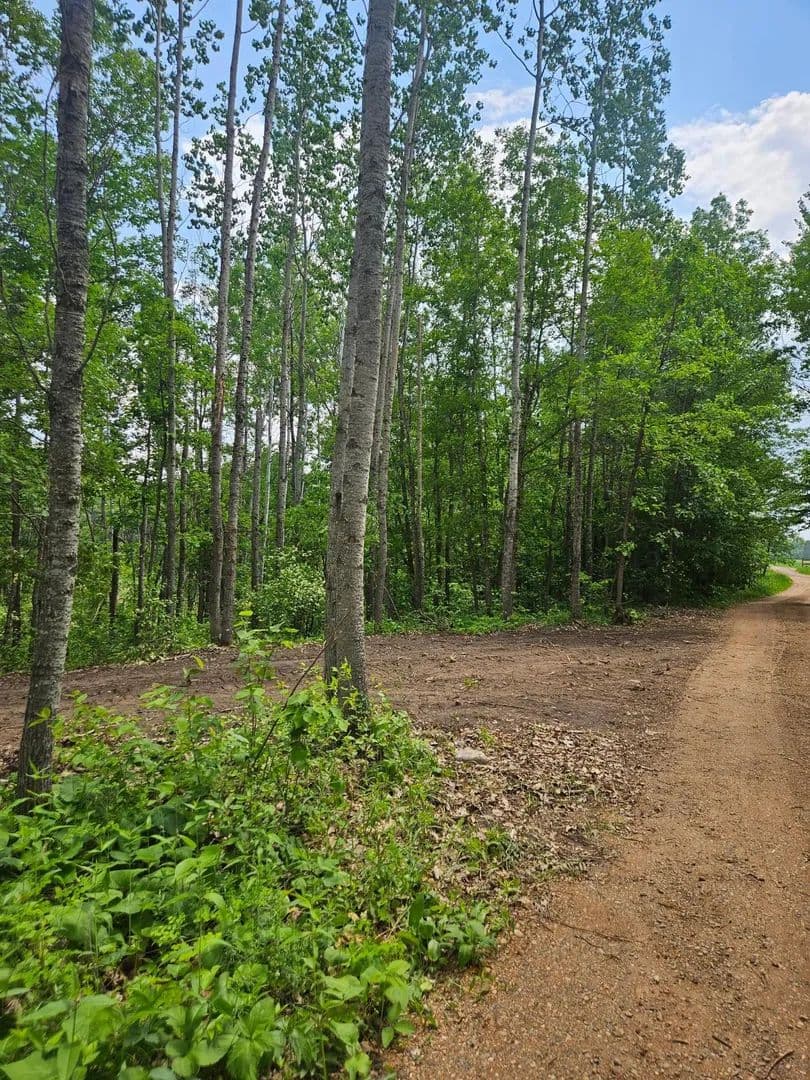 Property from Parcel E Rogue Way - KW - Ironton, Minnesota, 56455