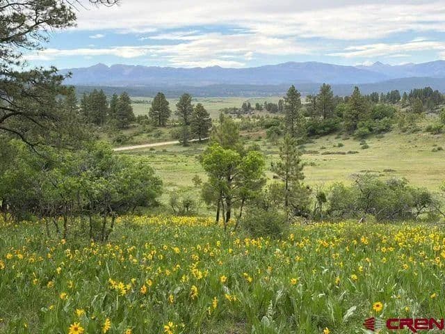 Property from 1073 Jacobson Circle - KW - Pagosa Springs, Colorado, 81147