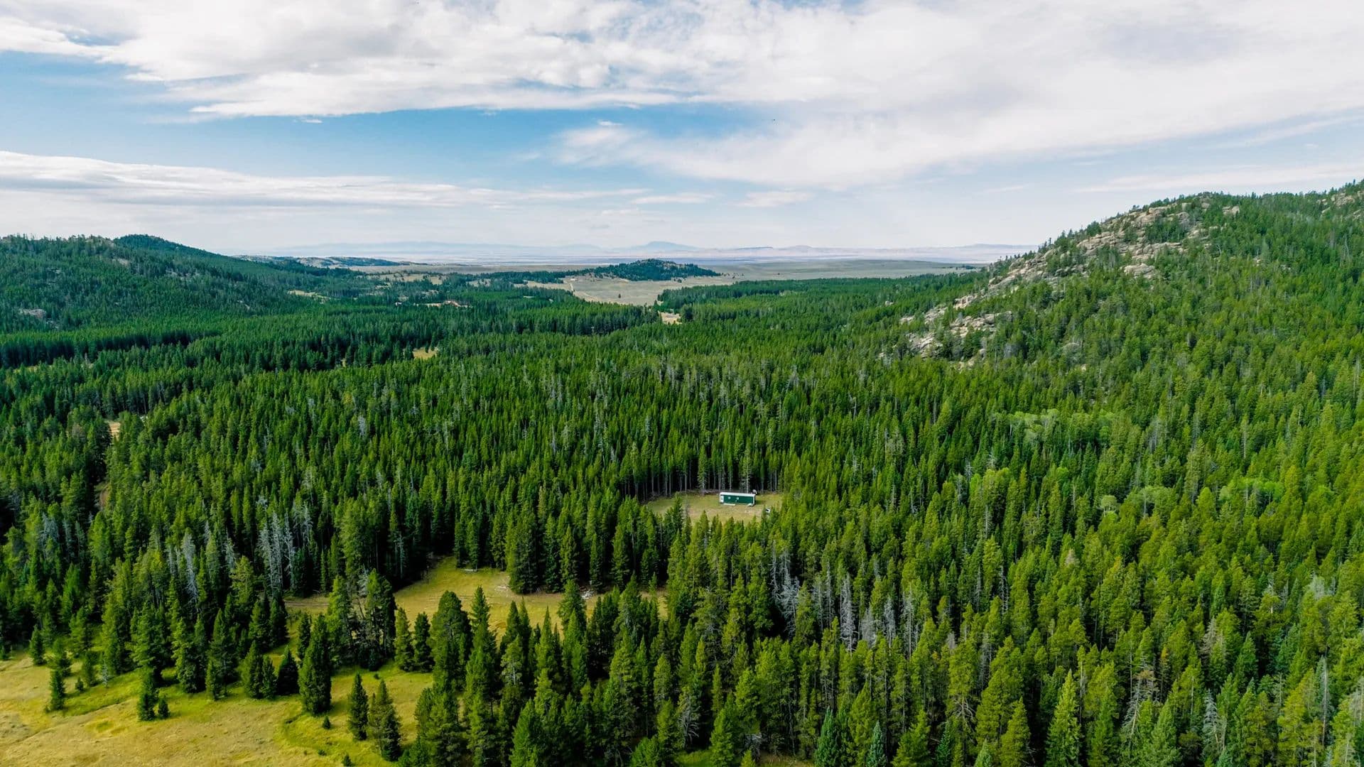 Cold Springs Hunting Camp - land for sale