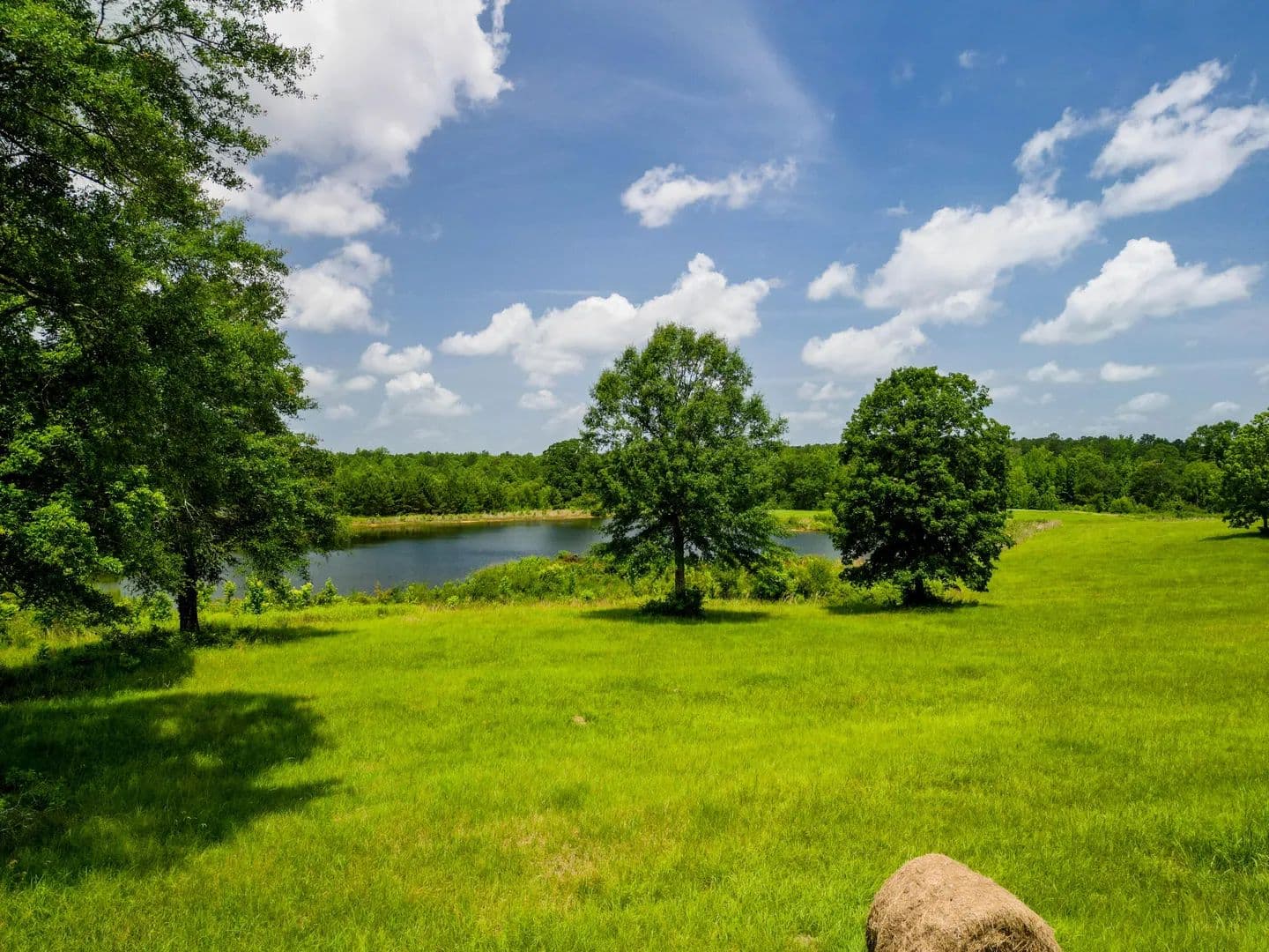 Property from 603 Denham Winchester Rd. - KW - Waynesboro, Mississippi, 39367