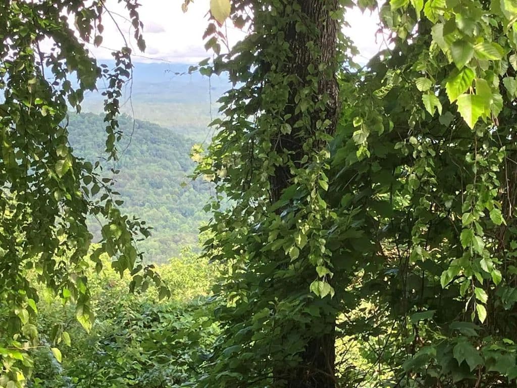 Lots & Land-Other in Murphy - Murphy, North Carolina, 28906