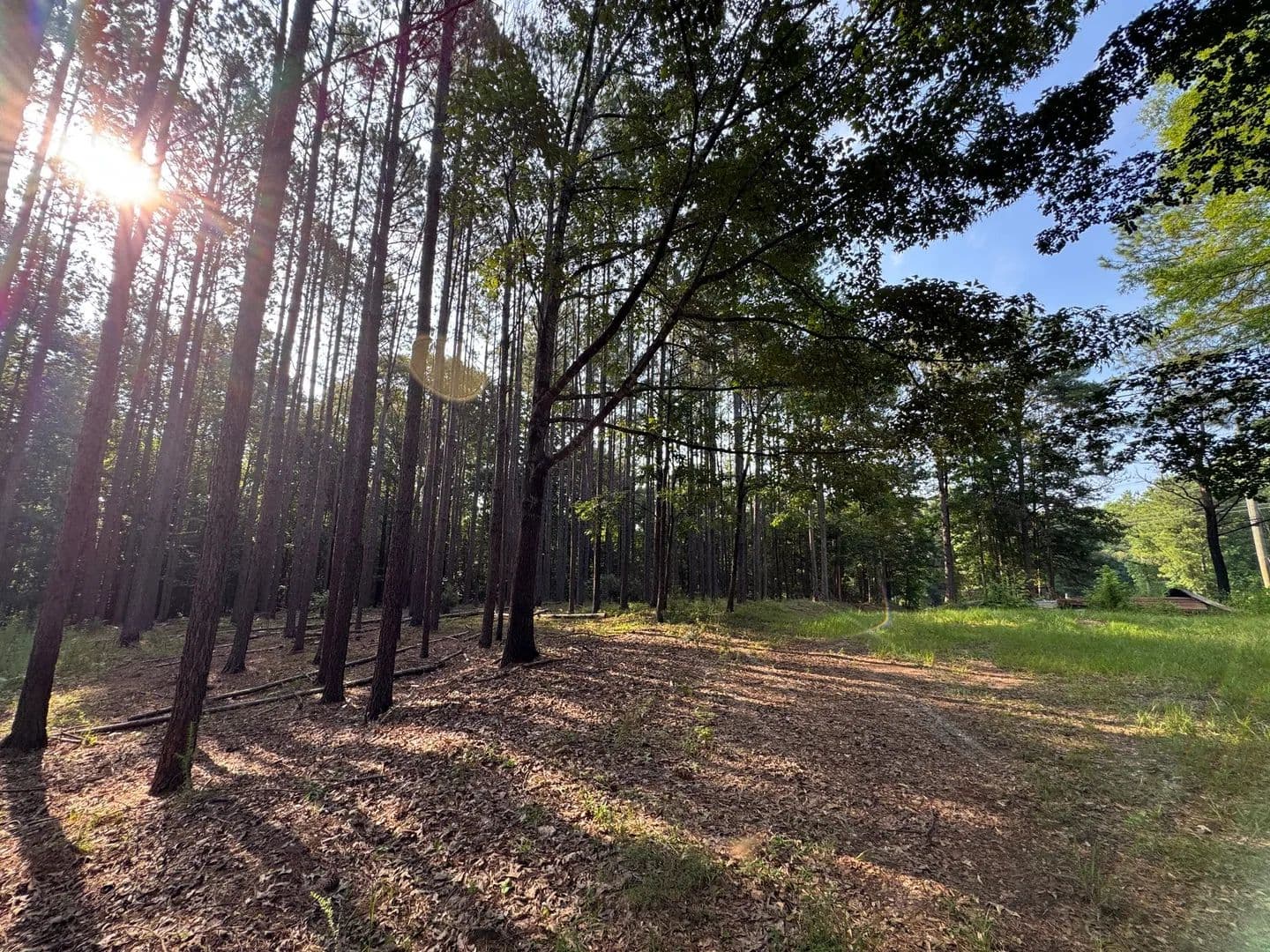 174 +/- Hunting and Recreational Tract, Camp Hill , Lee County, AL - Waverly, Alabama, 36879