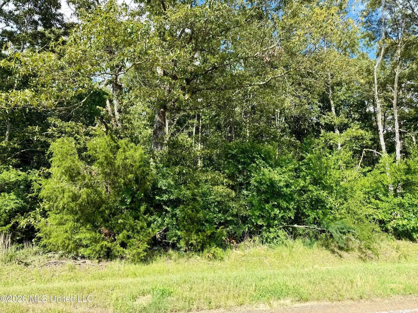 Property from Ebenezer-pickens Rd Road - KW - Lexington, Mississippi, 39095