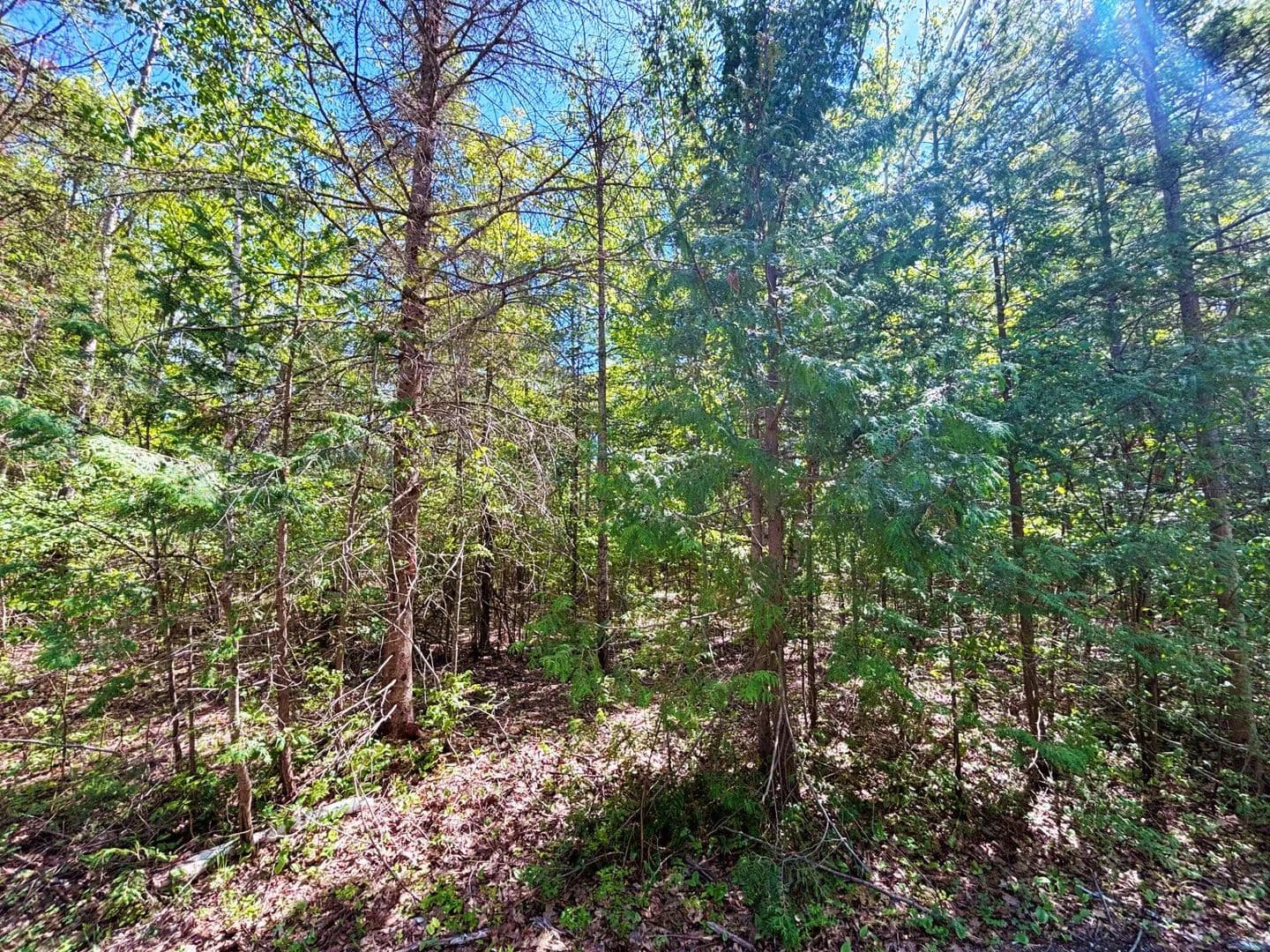 0.38 Acres of Land for Sale in Presque Isle, Michigan - Presque Isle, Michigan, 49777