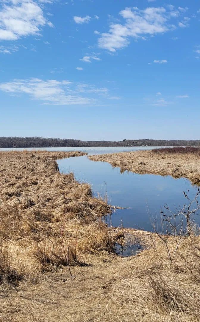 Property from 512xx Leaf River Road Tract A - KW - Ottertail, Minnesota, 56571