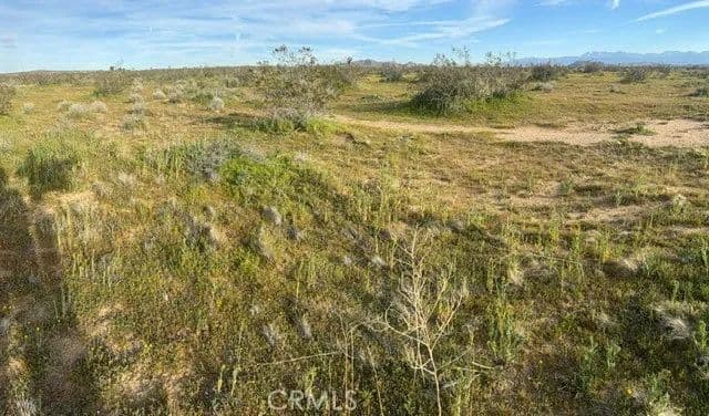 Vacant Land in Lancaster - Lancaster, California, 93535