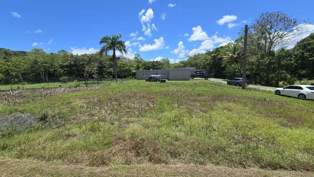 900 Acres of Land for Sale in San Lorenzo - land for sale