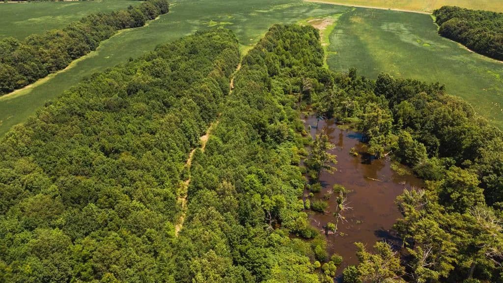 Property from 00 Cotton Loop - KW - , Mississippi, 38670