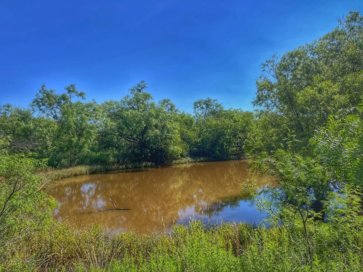 62.9 Acres of Land for Sale in Sweetwater, TX - Sweetwater, Texas, 79556