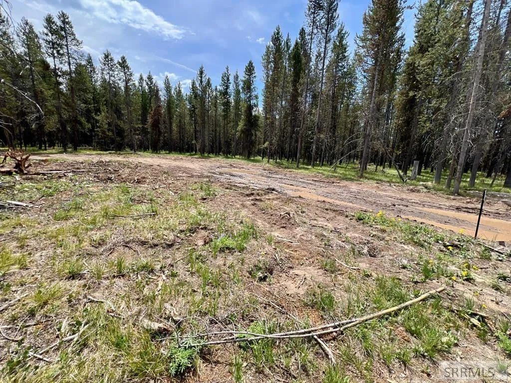 0.65 Acres of Land for Sale in Island Park, ID - Island Park, Idaho, 83429
