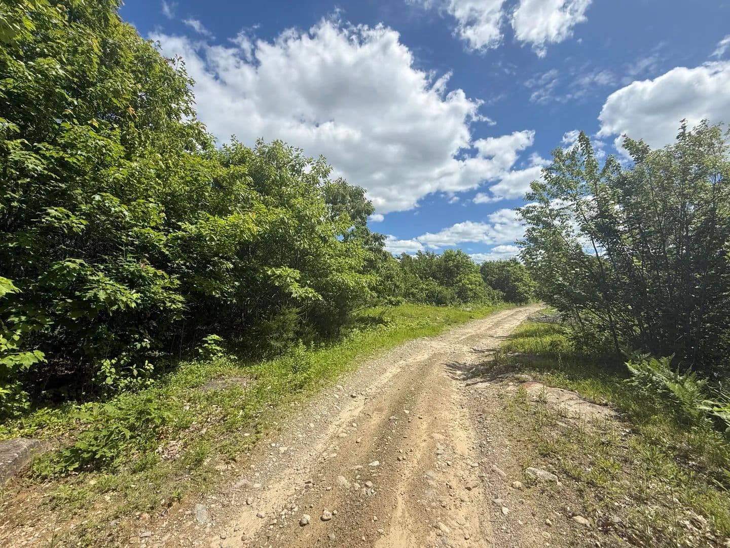 42 Acres of Land for Sale in Warren, ME - Warren, Maine, 04864