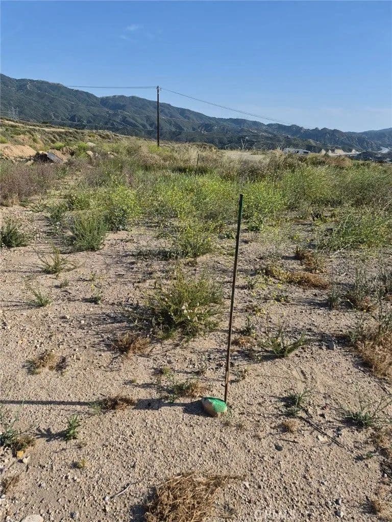 Lots & Land-Other in Newhall - Newhall, California, 91321