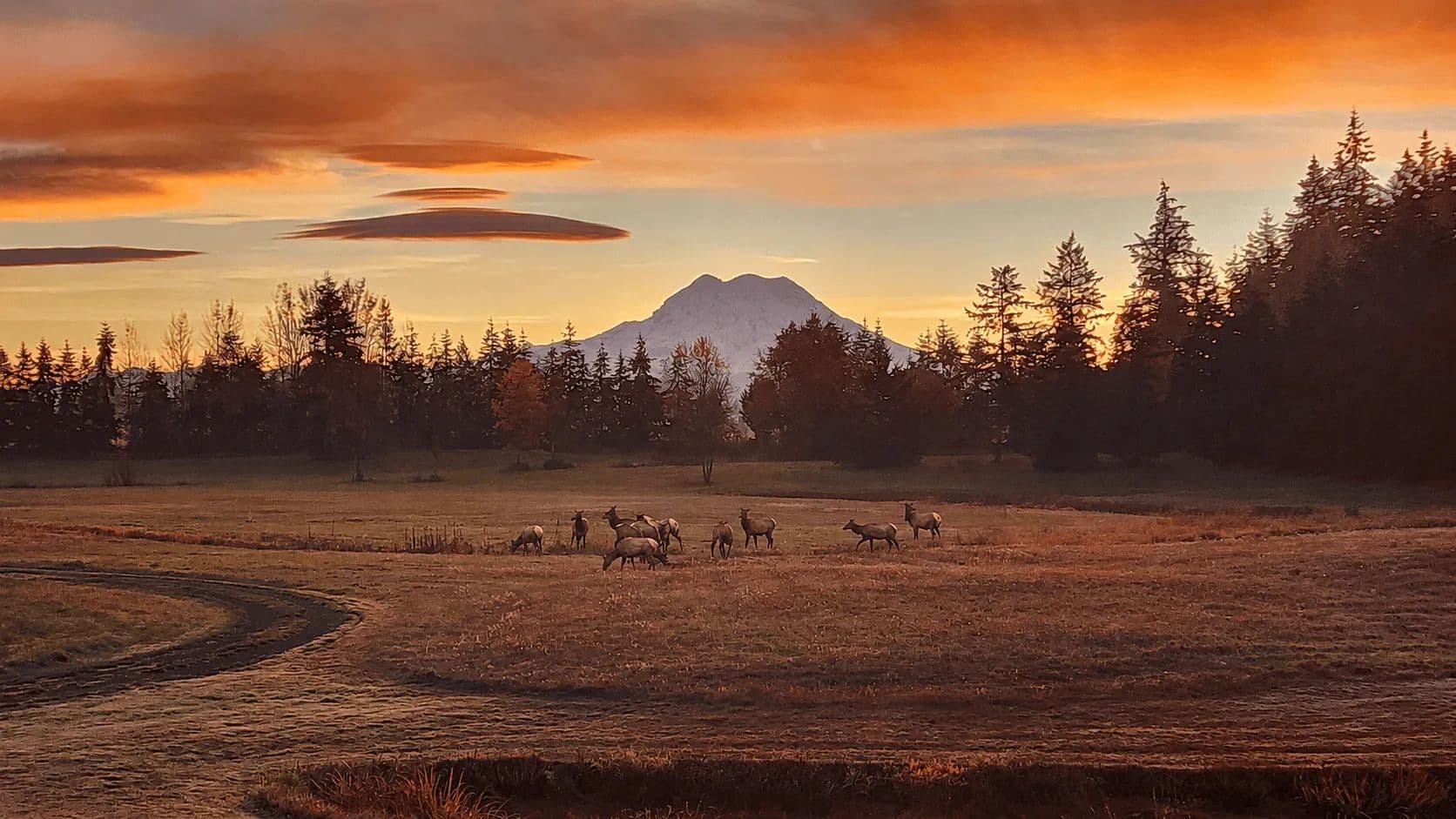 Still Water Retreat - Roy, Washington, 98580