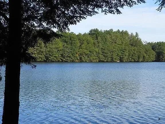 4.77 Acres of Land for Sale in Buxton, ME - Buxton, Maine, 04093