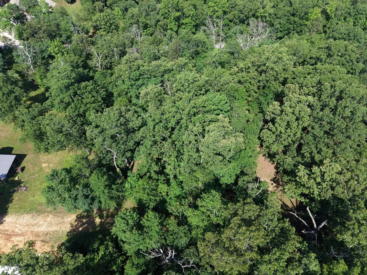 0.98+/-AC Residential Lot For Sale in Butler Co. - Poplar Bluff, Missouri, 63901