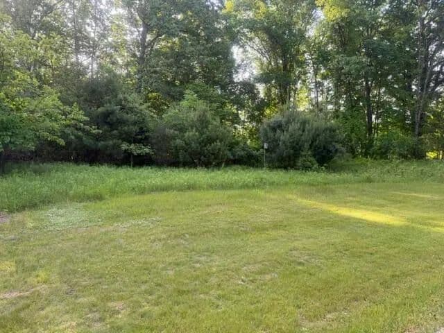 Vacant Land in Newaygo - Newaygo, Michigan, 49337