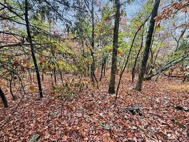 Lots & Land-Other in Vian - land for sale