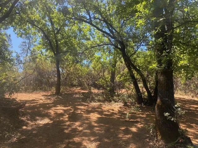 Property from 1636 Nickerson Lane #1663 - KW - Murphys, California, 95247