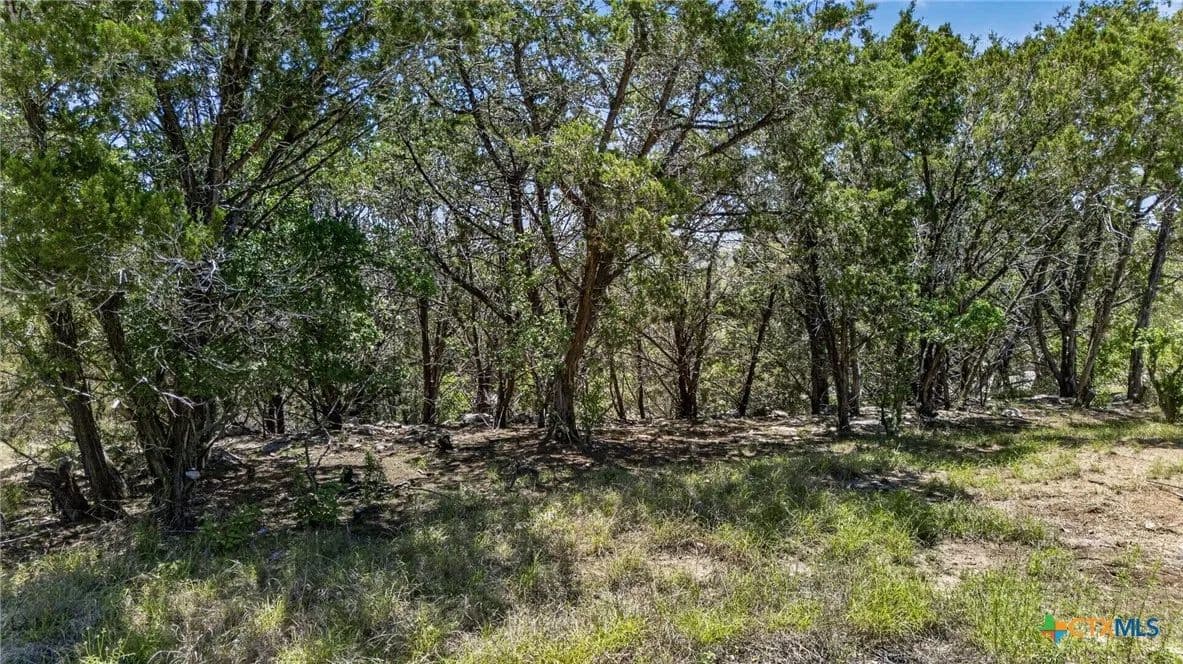 Vacant Land in Canyon Lake - Canyon Lake, Texas, 78133
